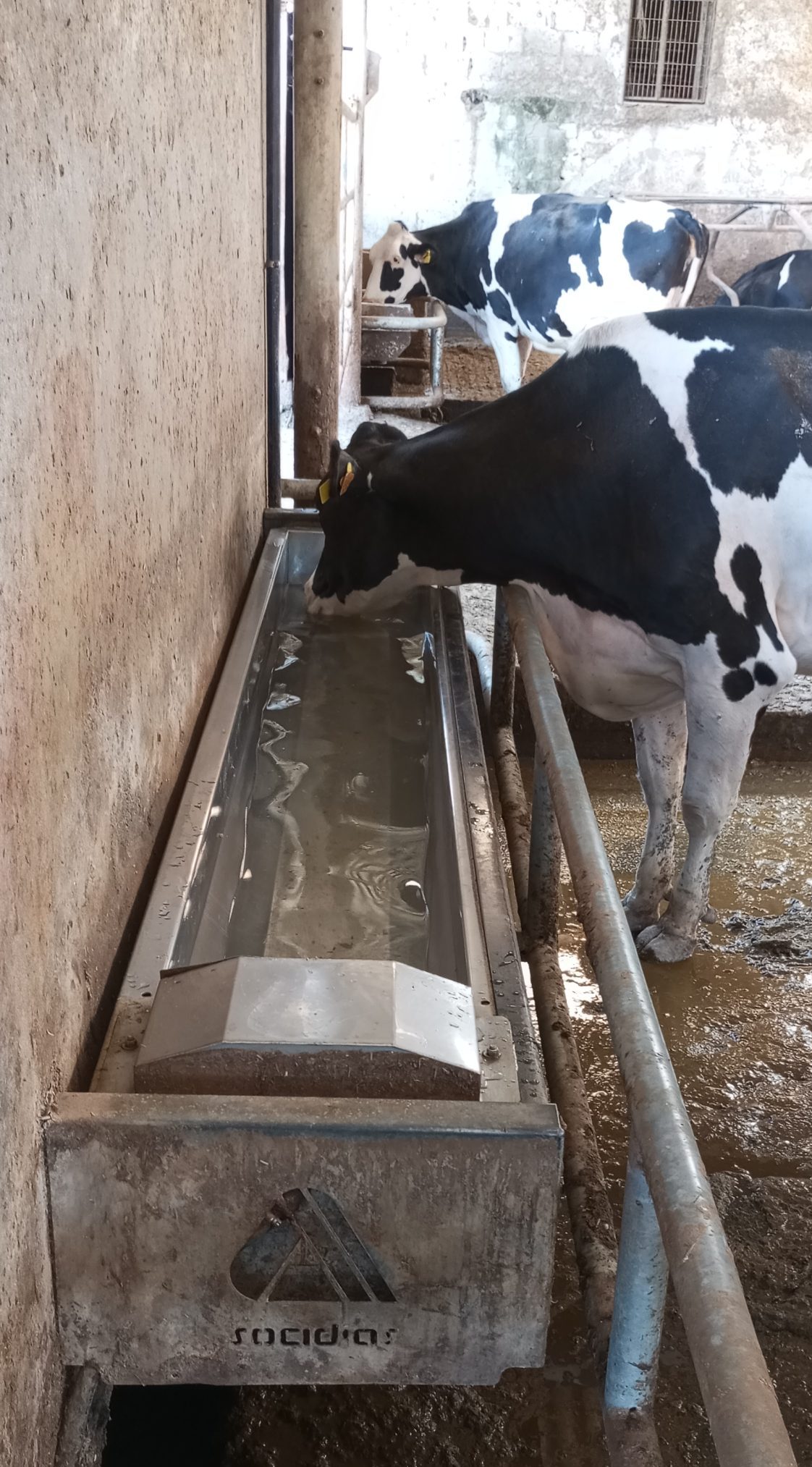 Bebedouros - Image 3