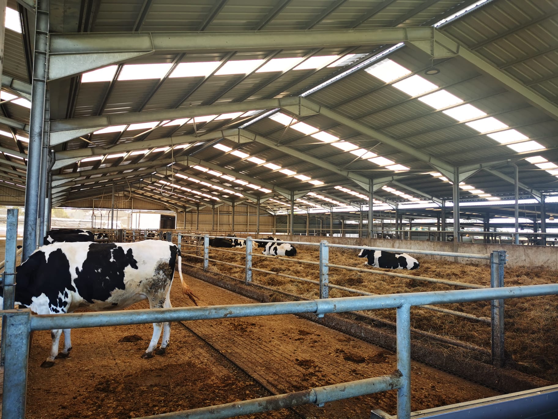 Cancelas e Barreiras - Image 2