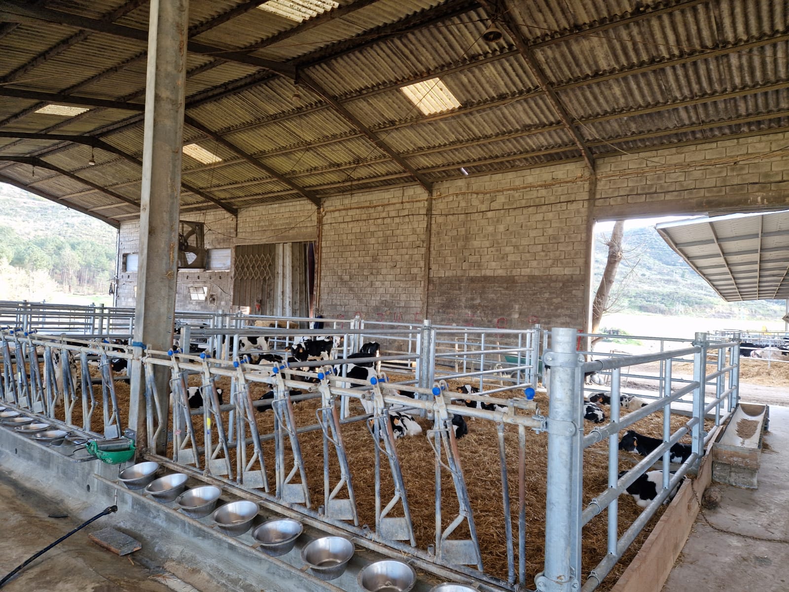 Viteleiros - Image 3